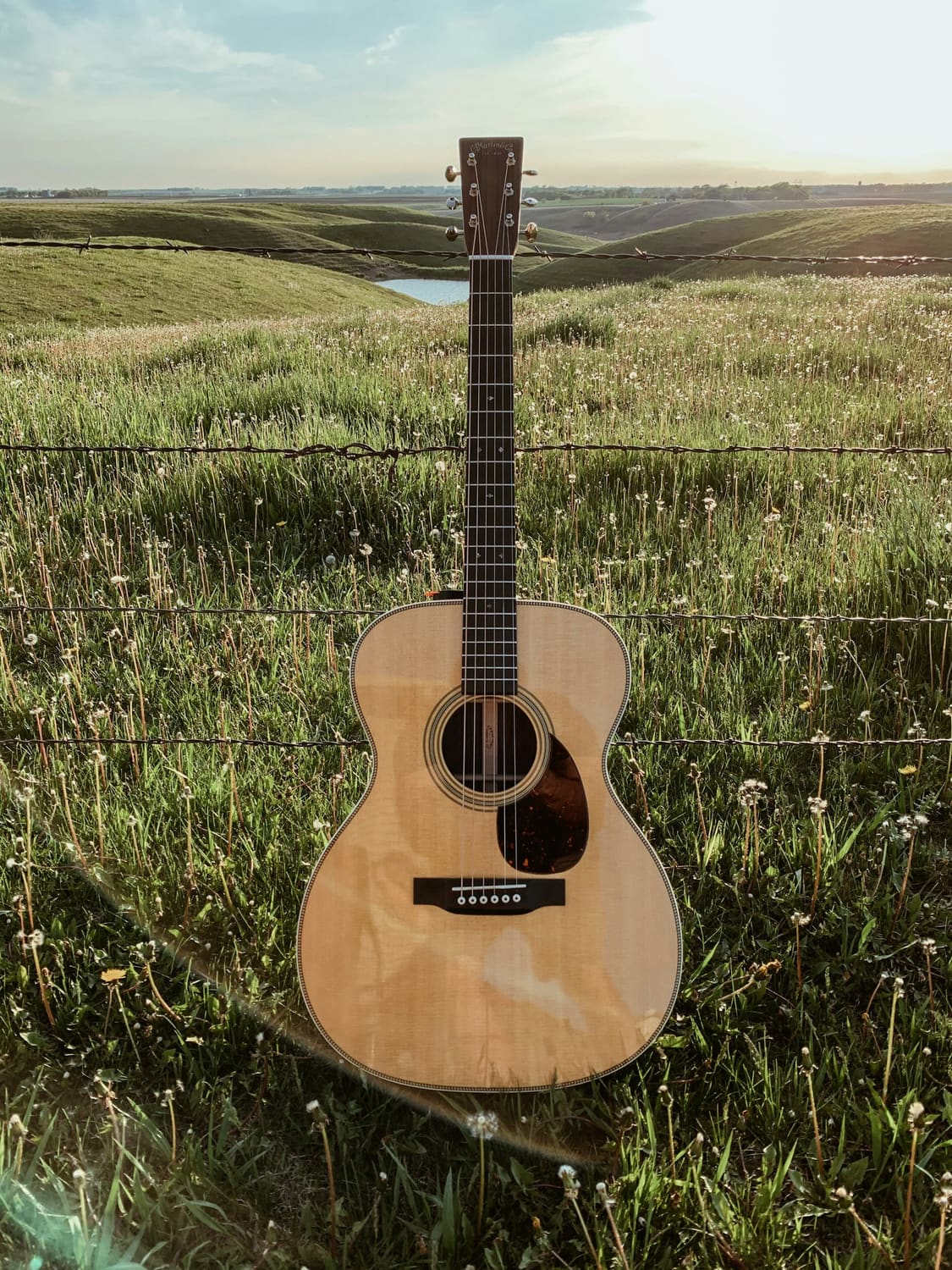 Acoustic guitar standing in a green grass field